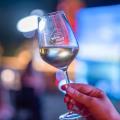 Wine not!? Vino u ozračju Preradovićeve baštine
